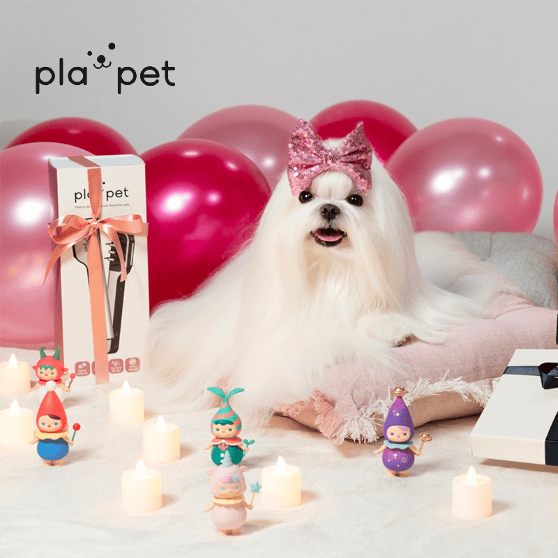PLABEAU PLAPET PLUS 高速粒子等離子寵物皮膚&毛質護理儀